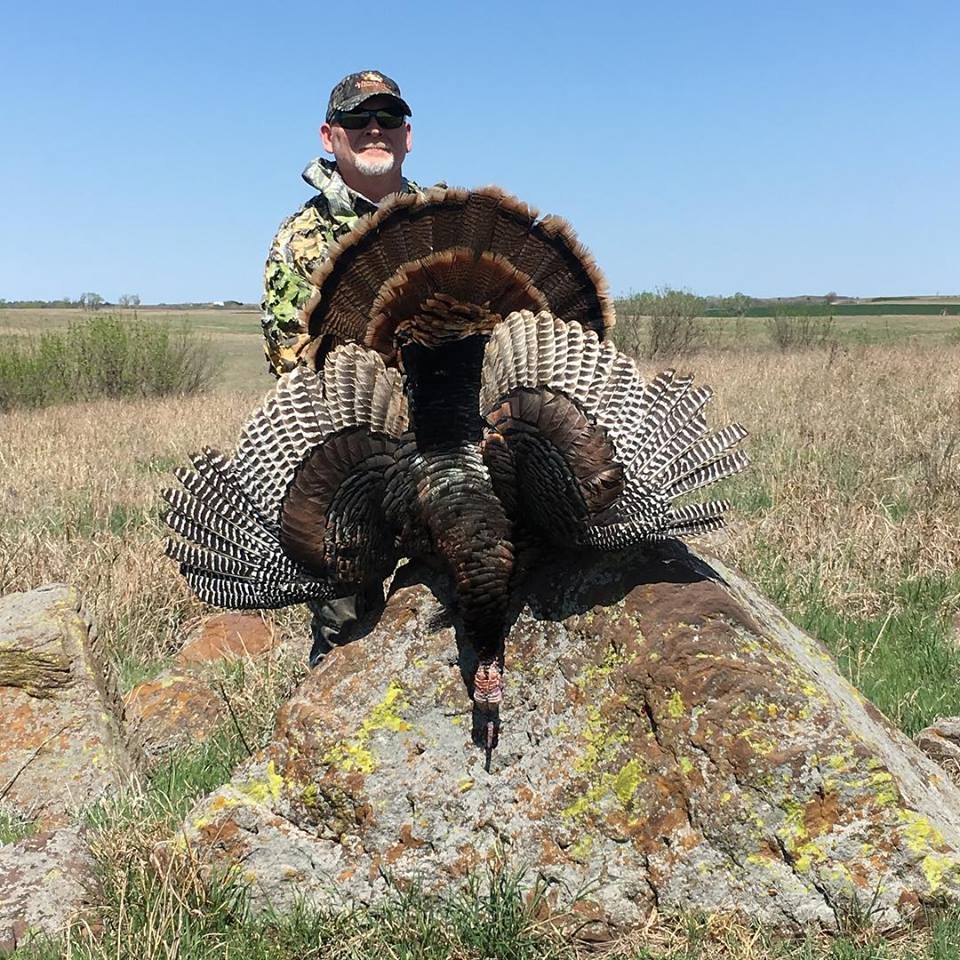 Kansas Turkey Hunts 12